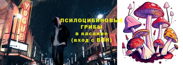 молекула духа Покров