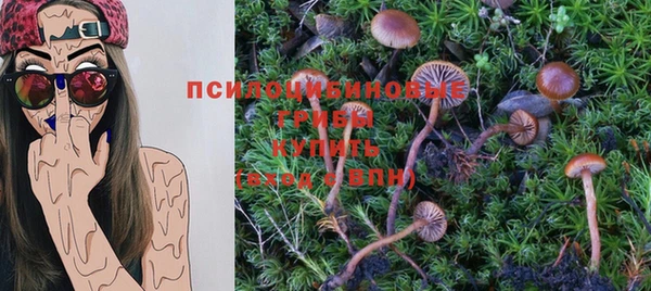 скорость Алексин