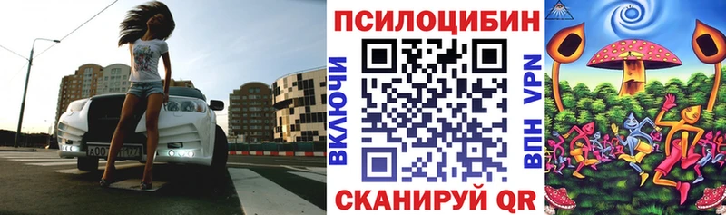 Псилоцибиновые грибы Psilocybine cubensis  магазин    Приозерск 